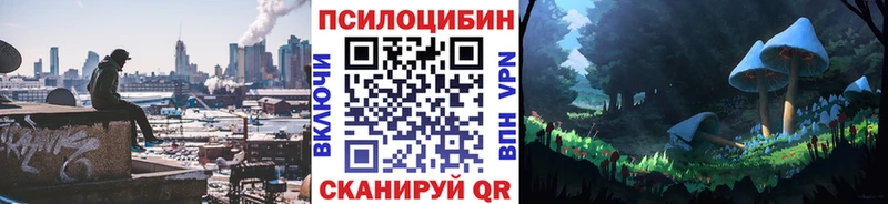 Галлюциногенные грибы Psilocybine cubensis  Томилино 